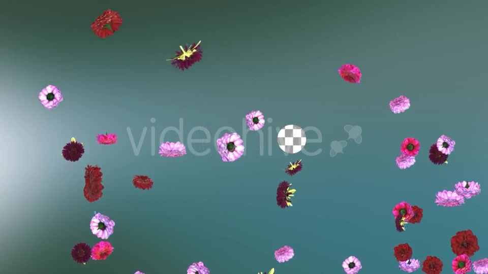 Flowers Falling Background Videohive 20071734 Motion Graphics Image 7