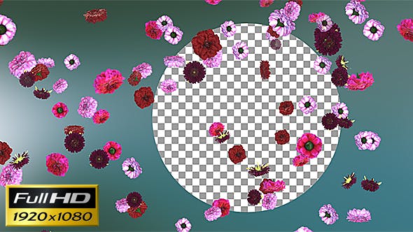 Flowers Falling Background - Download Videohive 20071734