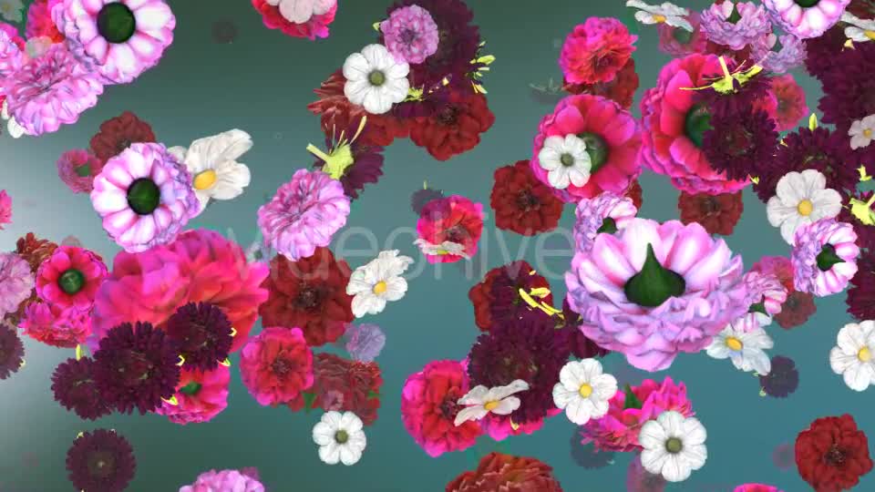 Flowers Falling Background Videohive 20071855 Motion Graphics Image 1