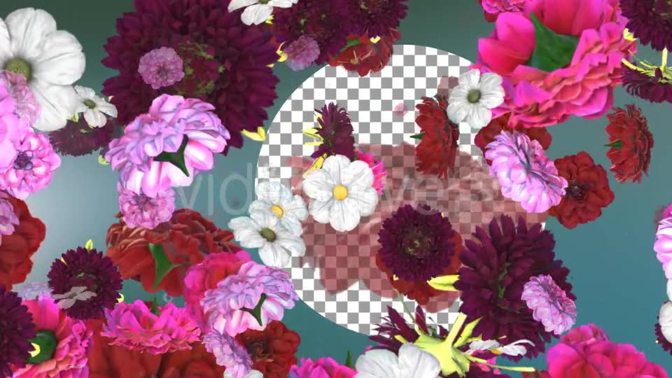 Flowers Falling Background Videohive 20071855 Motion Graphics Image 2