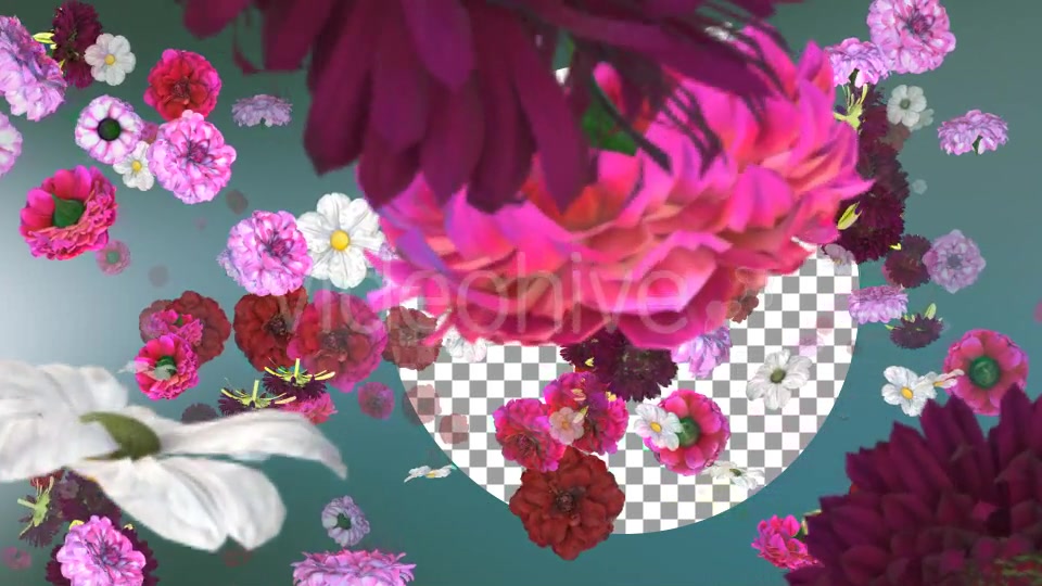 Flowers Falling Background Videohive 20071855 Motion Graphics Image 4