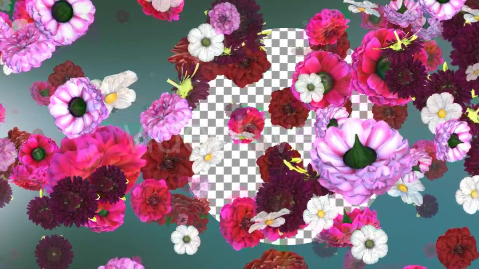 Flowers Falling Background Videohive 20071855 Motion Graphics Image 5