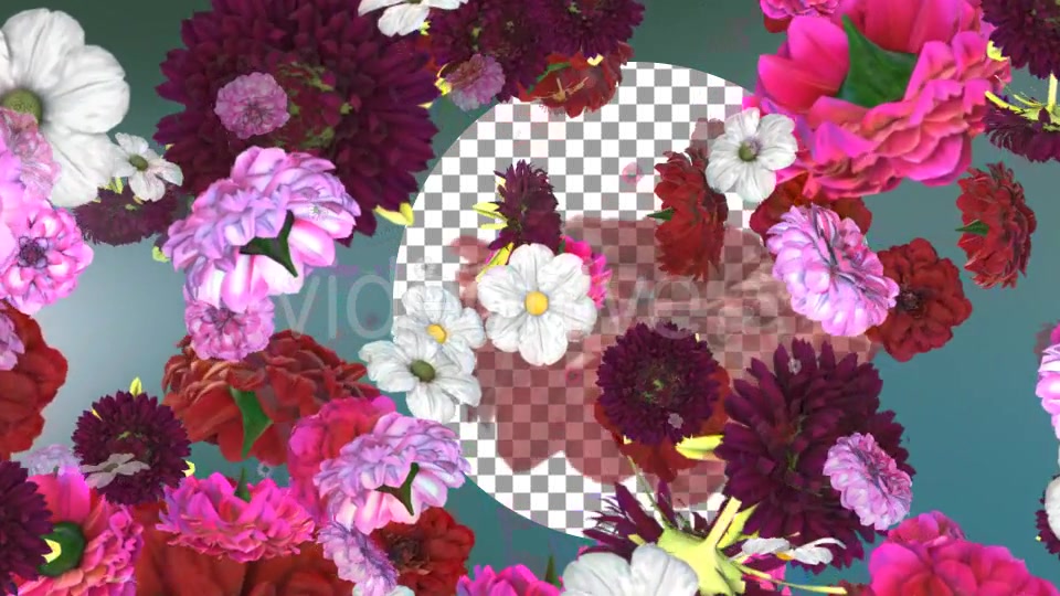 Flowers Falling Background Videohive 20071855 Motion Graphics Image 6