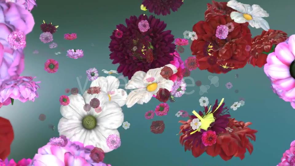 Flowers Falling Background Videohive 20071855 Motion Graphics Image 7