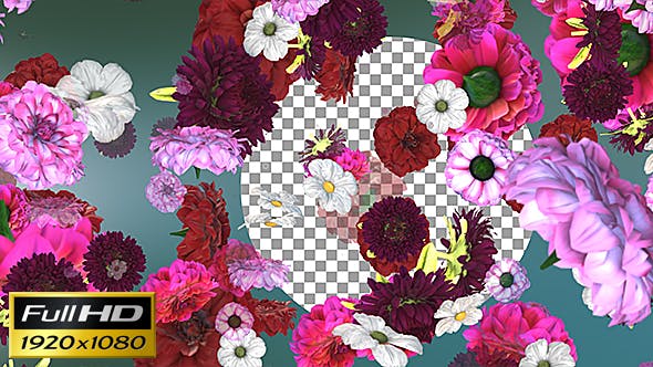 Flowers Falling Background - Videohive 20071855 Download