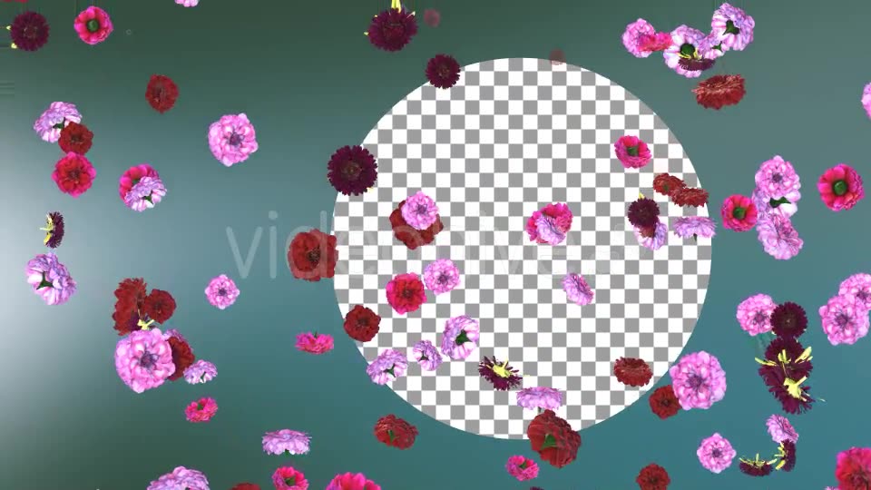Flowers Falling Loop Background Videohive 20071762 Motion Graphics Image 2