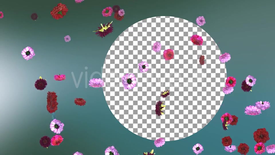 Flowers Falling Loop Background Videohive 20071762 Motion Graphics Image 3