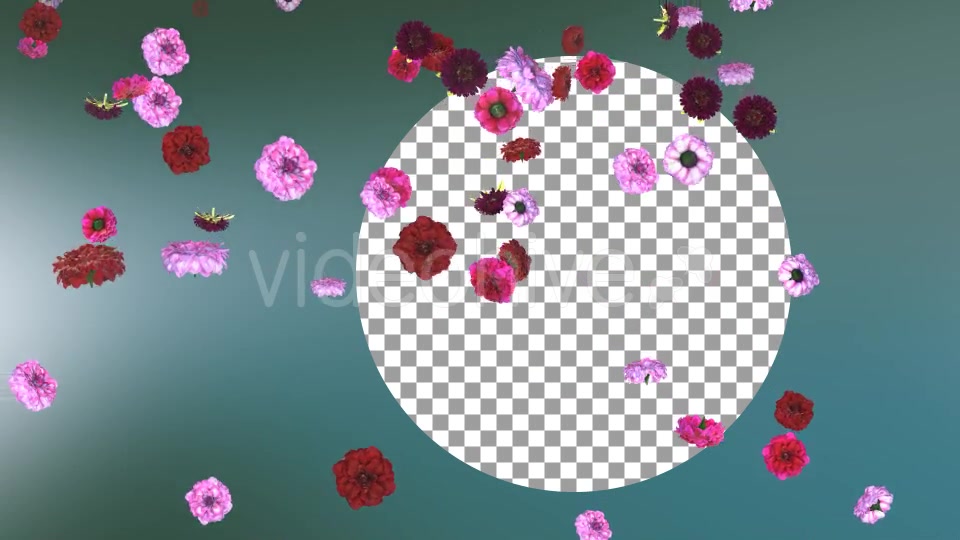 Flowers Falling Loop Background Videohive 20071762 Motion Graphics Image 4