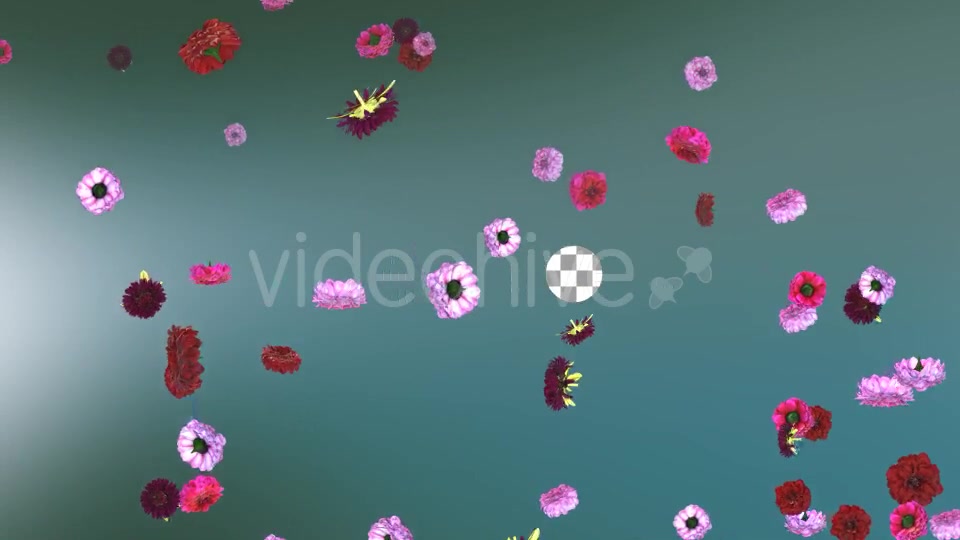 Flowers Falling Loop Background Videohive 20071762 Motion Graphics Image 7