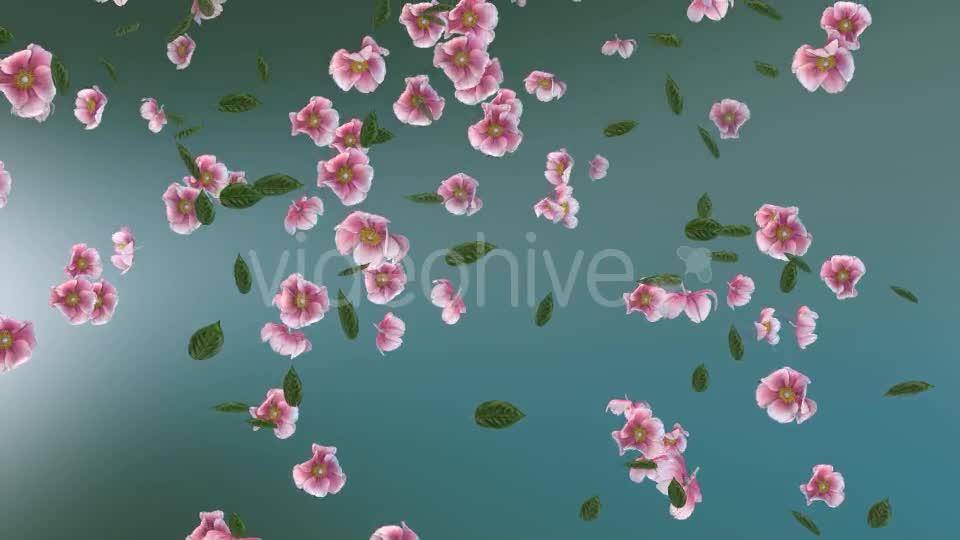 Flowers Falling Loop Background Videohive 20071848 Motion Graphics Image 1