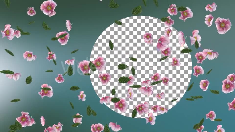 Flowers Falling Loop Background Videohive 20071848 Motion Graphics Image 2