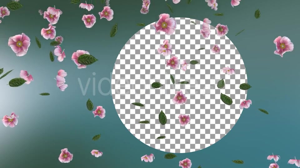 Flowers Falling Loop Background Videohive 20071848 Motion Graphics Image 4