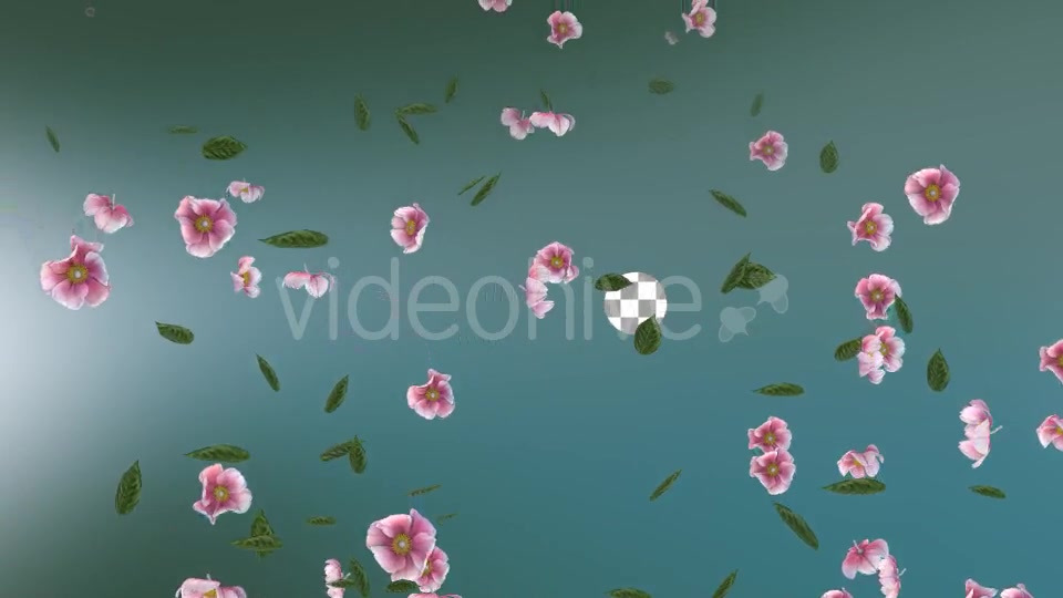 Flowers Falling Loop Background Videohive 20071848 Motion Graphics Image 7