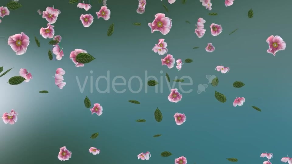 Flowers Falling Loop Background Videohive 20071848 Motion Graphics Image 8