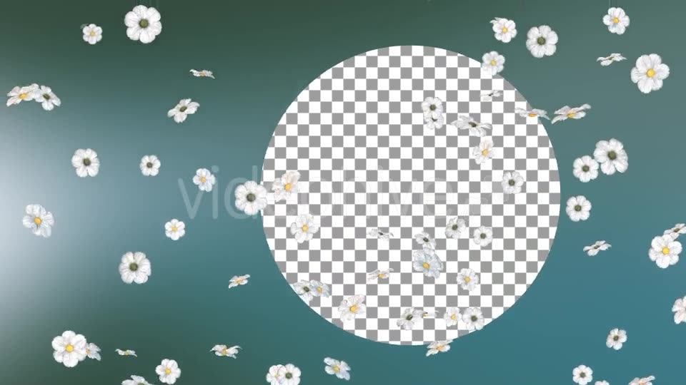 Flowers Falling Loop Background Videohive 20071819 Motion Graphics Image 2