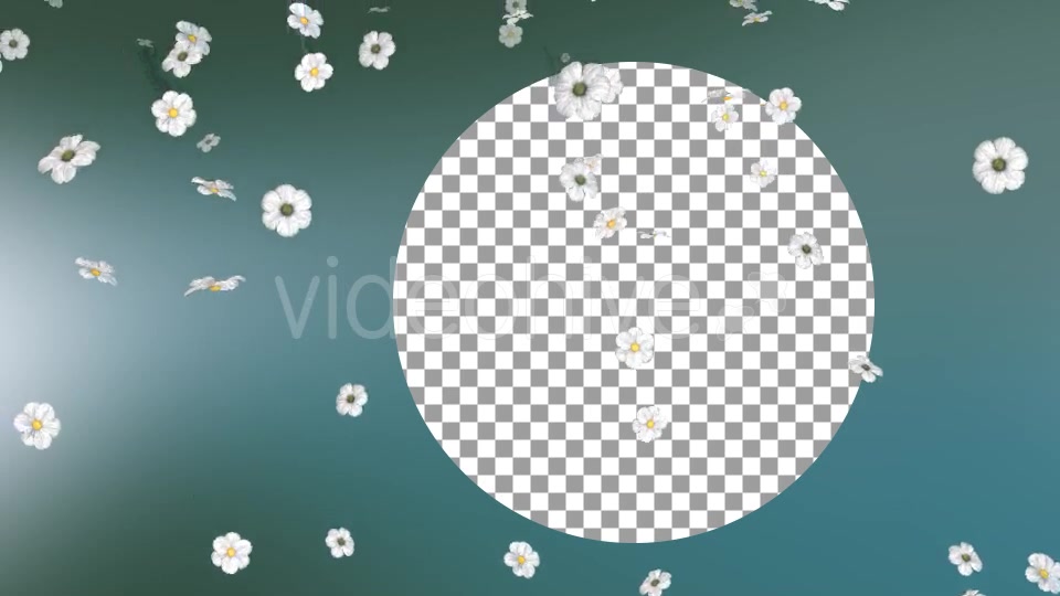 Flowers Falling Loop Background Videohive 20071819 Motion Graphics Image 4