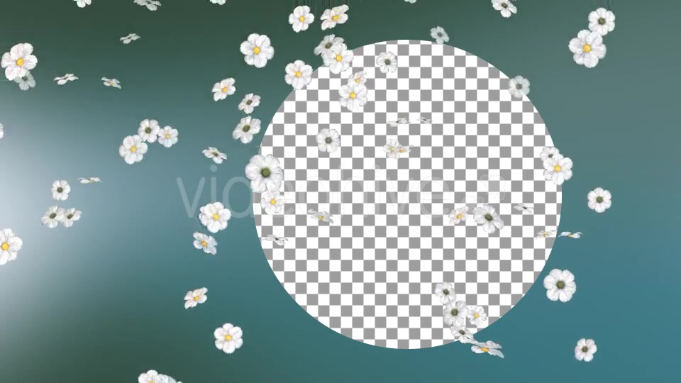 Flowers Falling Loop Background Videohive 20071819 Motion Graphics Image 5