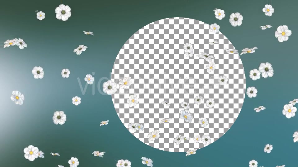 Flowers Falling Loop Background Videohive 20071819 Motion Graphics Image 6