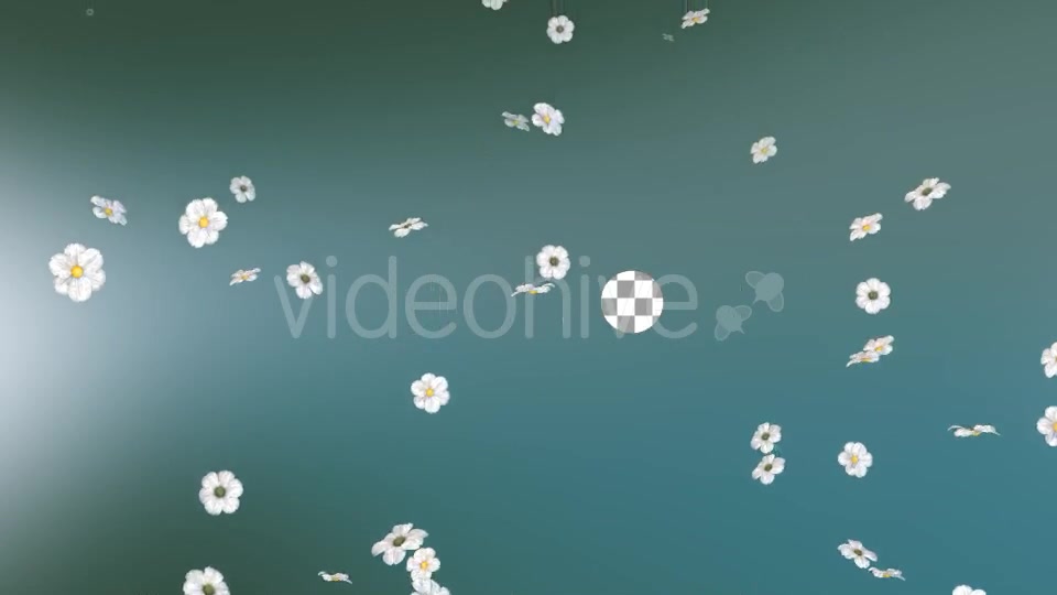 Flowers Falling Loop Background Videohive 20071819 Motion Graphics Image 7
