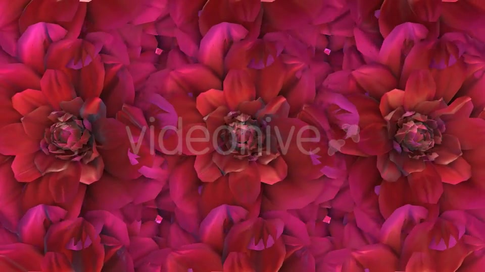 Flowers Loop Background Videohive 20053286 Motion Graphics Image 5