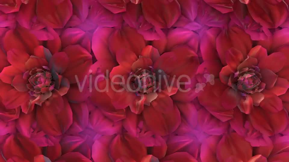 Flowers Loop Background Videohive 20053286 Motion Graphics Image 9