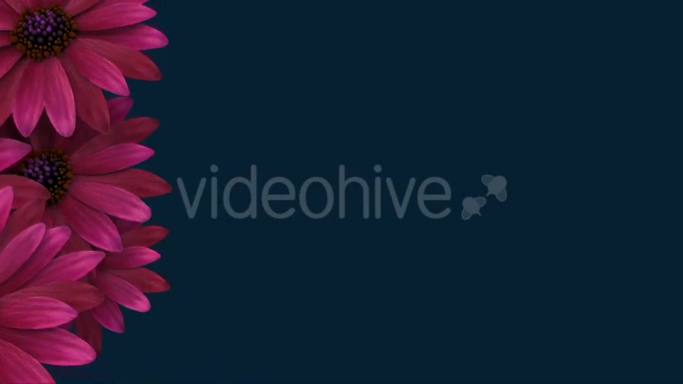 Flowers Transition Videohive 16607028 Motion Graphics Image 4