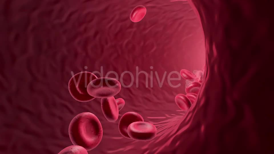 Flowing Red Blood Cells Videohive 9179472 Motion Graphics Image 1