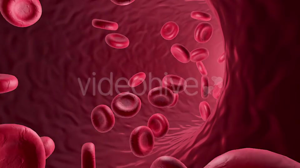 Flowing Red Blood Cells Videohive 9179472 Motion Graphics Image 2