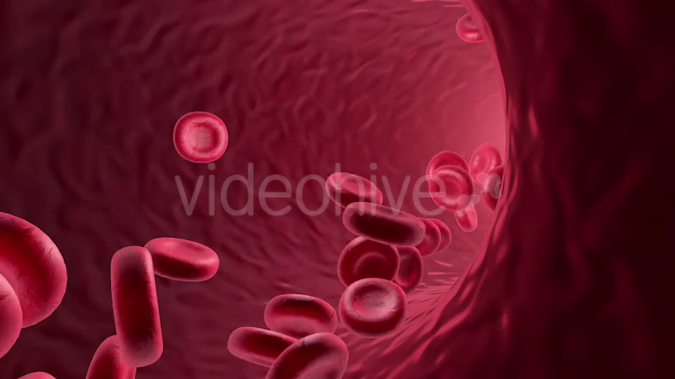 Flowing Red Blood Cells Videohive 9179472 Motion Graphics Image 3