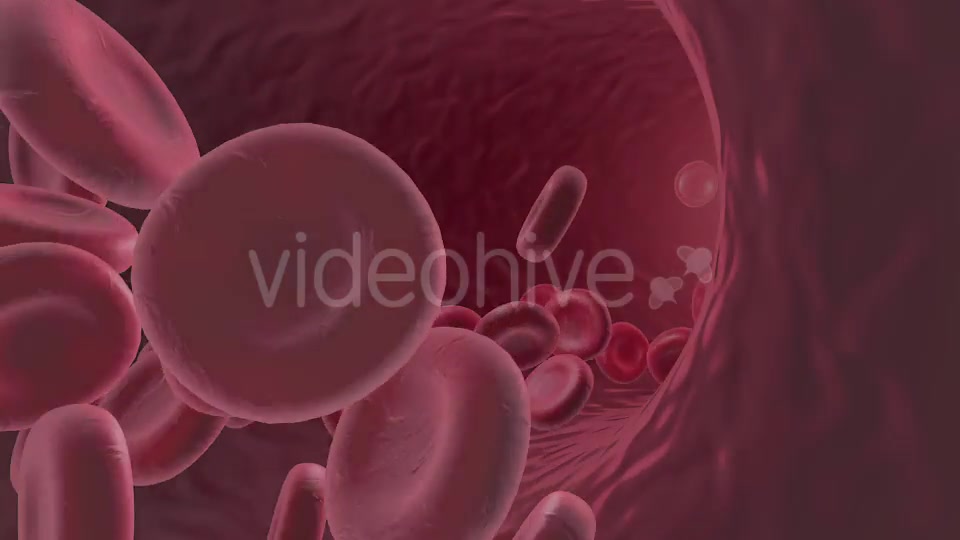 Flowing Red Blood Cells Videohive 9179472 Motion Graphics Image 4