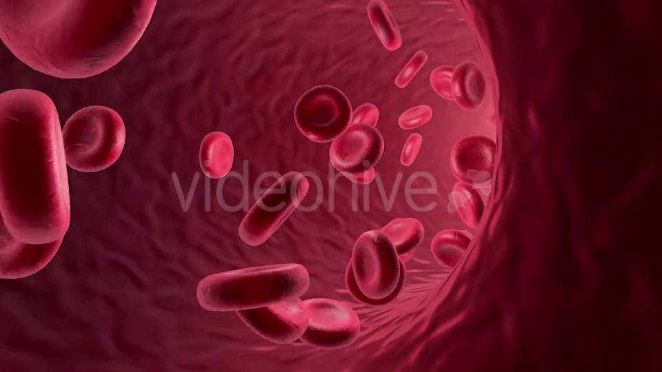 Flowing Red Blood Cells Videohive 9179472 Motion Graphics Image 7