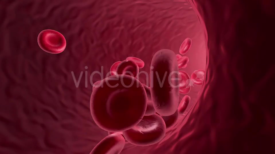 Flowing Red Blood Cells Videohive 9179472 Motion Graphics Image 8