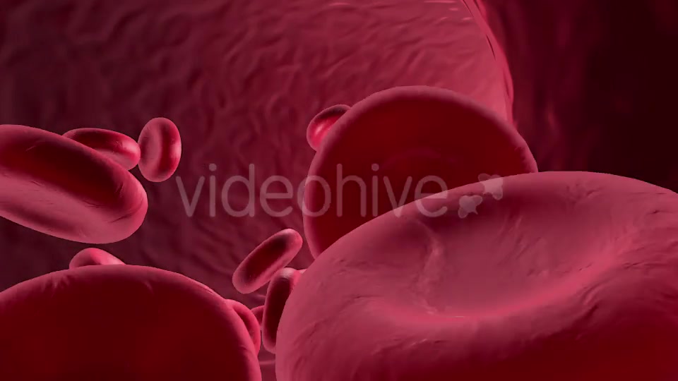 Flowing Red Blood Cells Videohive 9179472 Motion Graphics Image 9