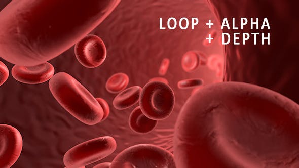 Flowing Red Blood Cells - Download Videohive 9179472