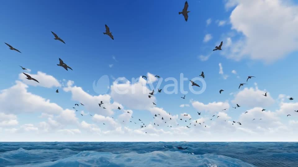 Fly Hawks Videohive 21584311 Motion Graphics Image 1