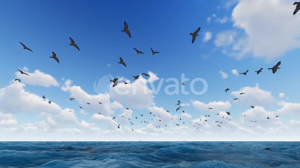 Fly Hawks Videohive 21584311 Motion Graphics Image 2