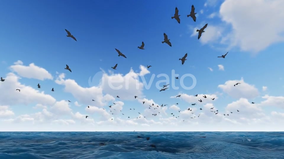 Fly Hawks Videohive 21584311 Motion Graphics Image 3