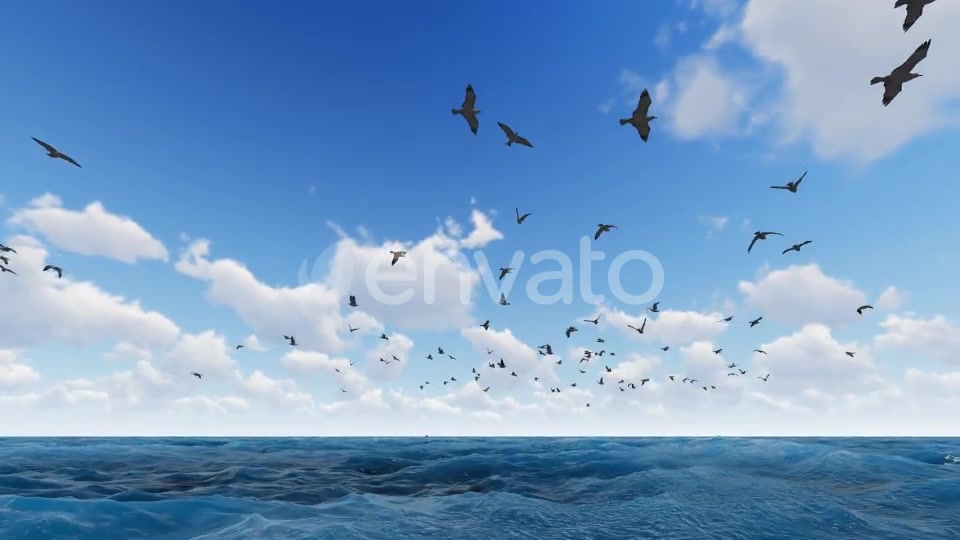 Fly Hawks Videohive 21584311 Motion Graphics Image 4