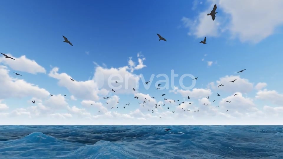 Fly Hawks Videohive 21584311 Motion Graphics Image 5