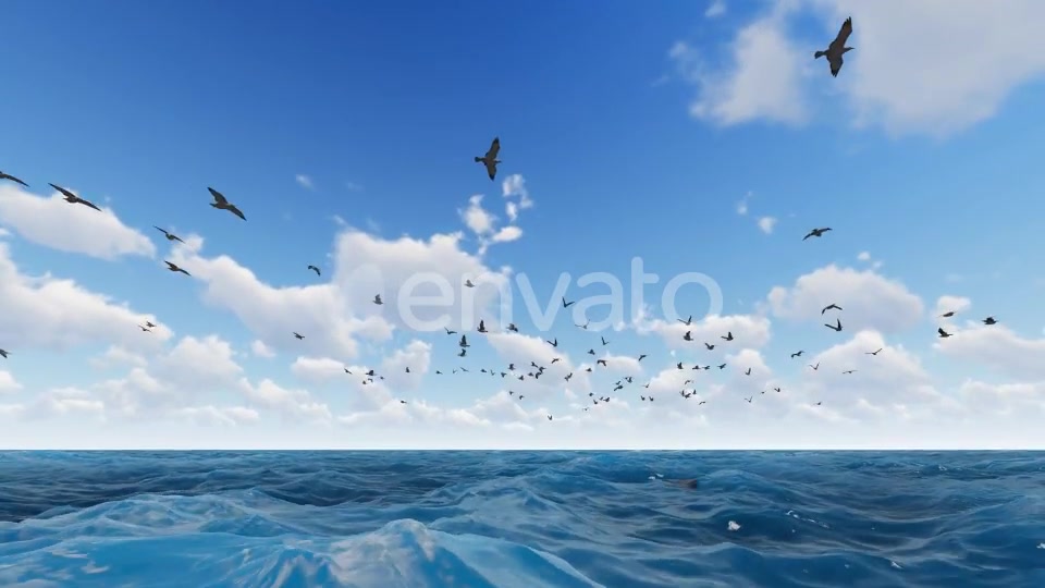 Fly Hawks Videohive 21584311 Motion Graphics Image 6