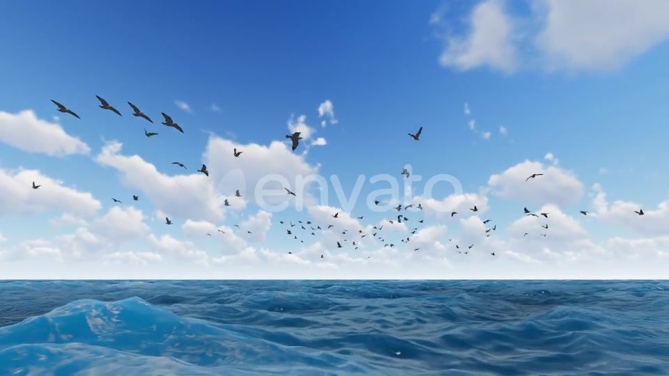 Fly Hawks Videohive 21584311 Motion Graphics Image 7