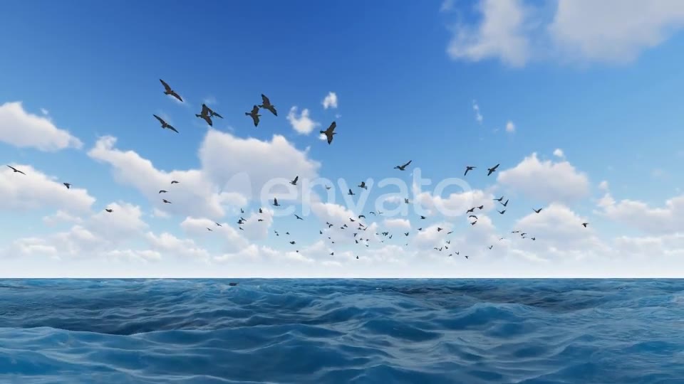 Fly Hawks Videohive 21584311 Motion Graphics Image 8