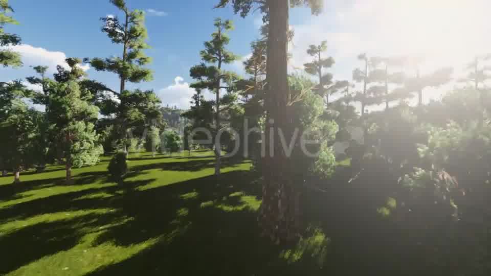 Fly into Forest Videohive 13047199 Motion Graphics Image 11