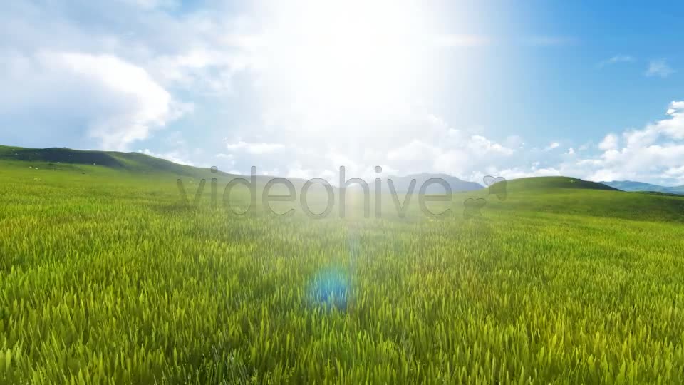 Fly Over Field Videohive 8135183 Motion Graphics Image 10