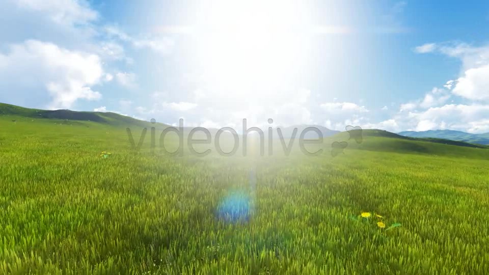 Fly Over Field Videohive 8135183 Motion Graphics Image 8