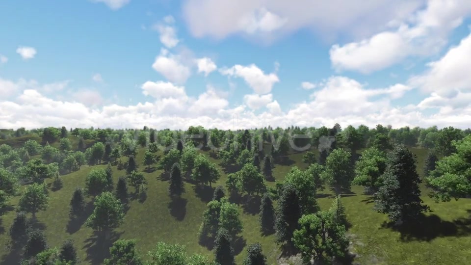 Fly over Forest v2 Videohive 13203629 Motion Graphics Image 7