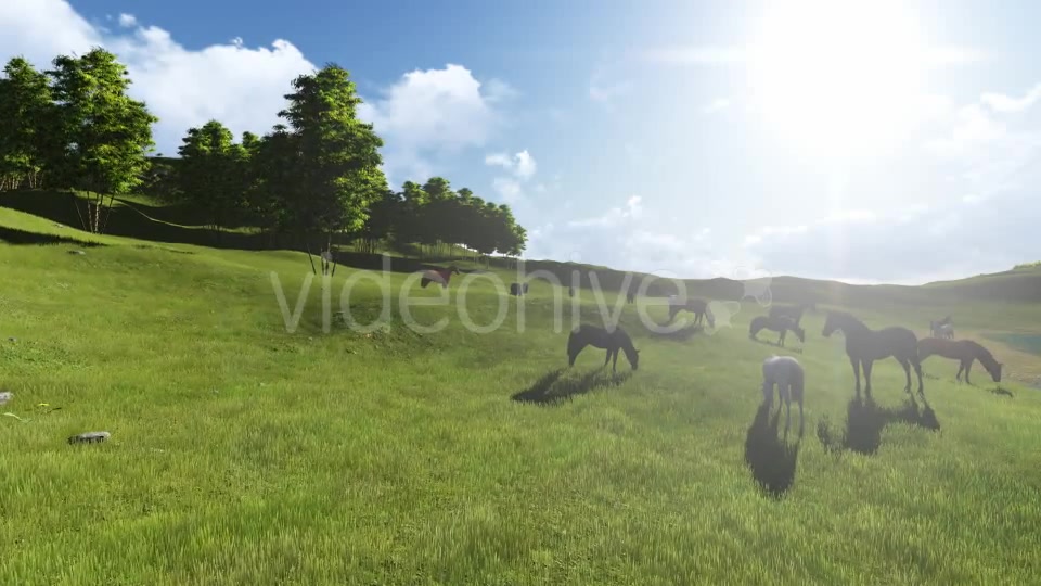 Fly Over Lake V2 Videohive 11222683 Motion Graphics Image 10