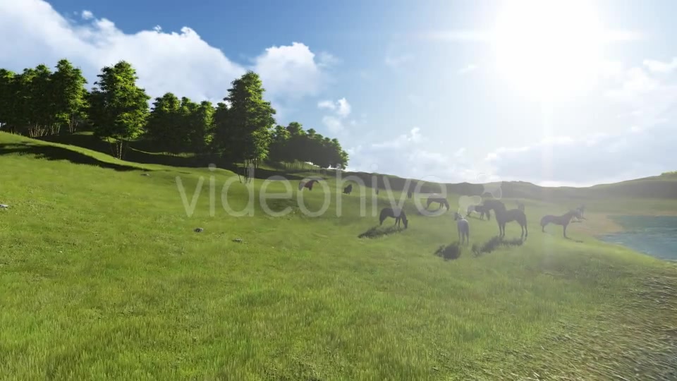 Fly Over Lake V2 Videohive 11222683 Motion Graphics Image 9