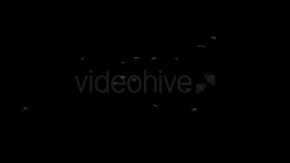 Fly Swarm Flying Around 4K Videohive 20828678 Motion Graphics Image 1