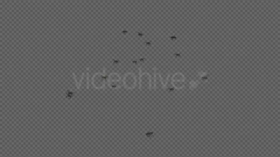 Fly Swarm Flying Around 4K Videohive 20828678 Motion Graphics Image 12